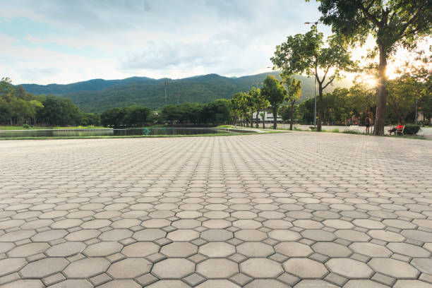 Best Driveway Paver Repair  in Sussex, NJ